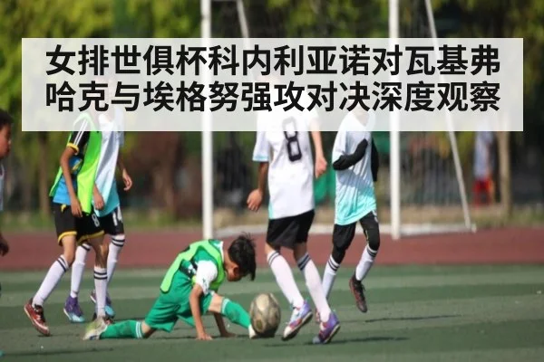 女排世俱杯科内利亚诺对瓦基弗哈克与埃格努强攻对决深度观察
